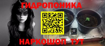 бутират Кингисепп