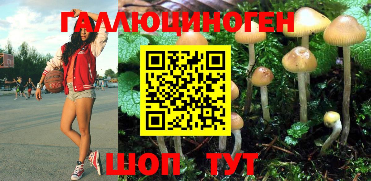 Бошки Шишки  Гашиш  Экстази  Кимовск  MDMA  Меф МЯУ МЯУ кристаллы  Вход с VPN  Кокаин 