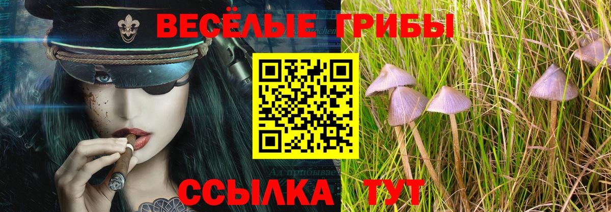 Псилоцибиновые грибы MAGIC MUSHROOMS  Галлюциногенные грибы GOLDEN TEACHER  Вход с VPN  Кимовск 