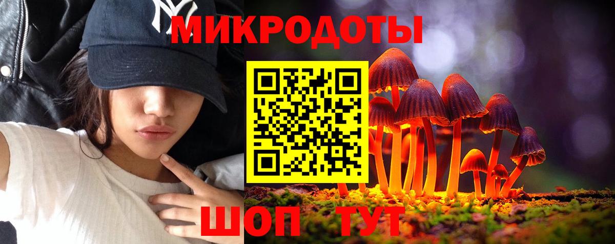 Псилоцибиновые грибы Cubensis Кимовск